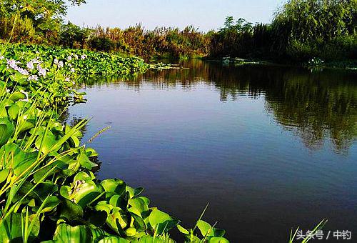 钓鱼人的一周生活,一个钓鱼人的一次完整垂钓过程