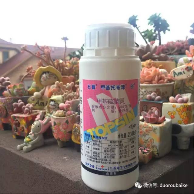 太实用了！图解多肉的配土及用药！