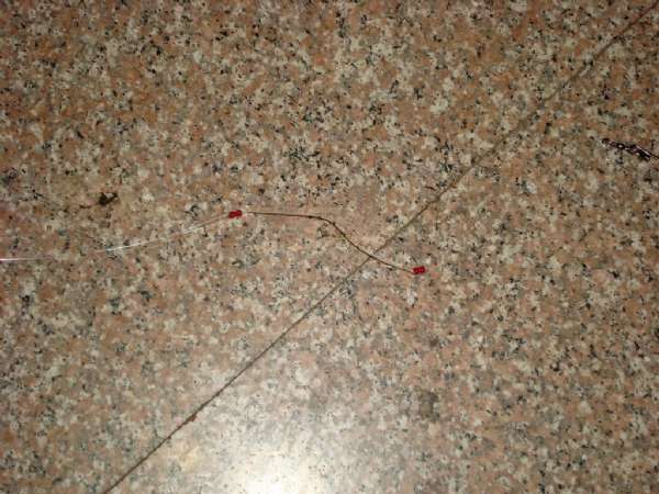 野钓鲫鱼打串钩自制竿架,老钓鱼人传授自制串钩和海竿架