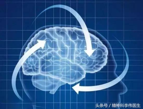 预防大脑衰老的食物,大脑30岁开始衰老真的吗