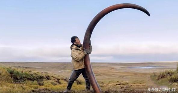 传奇国度的宝藏，从冻土中只要挖到1枚，几百万到手