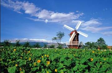 济州岛旅游攻略酒店篇,韩国济州岛旅游攻略