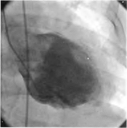 刘燕中西医结合,刘燕catherine