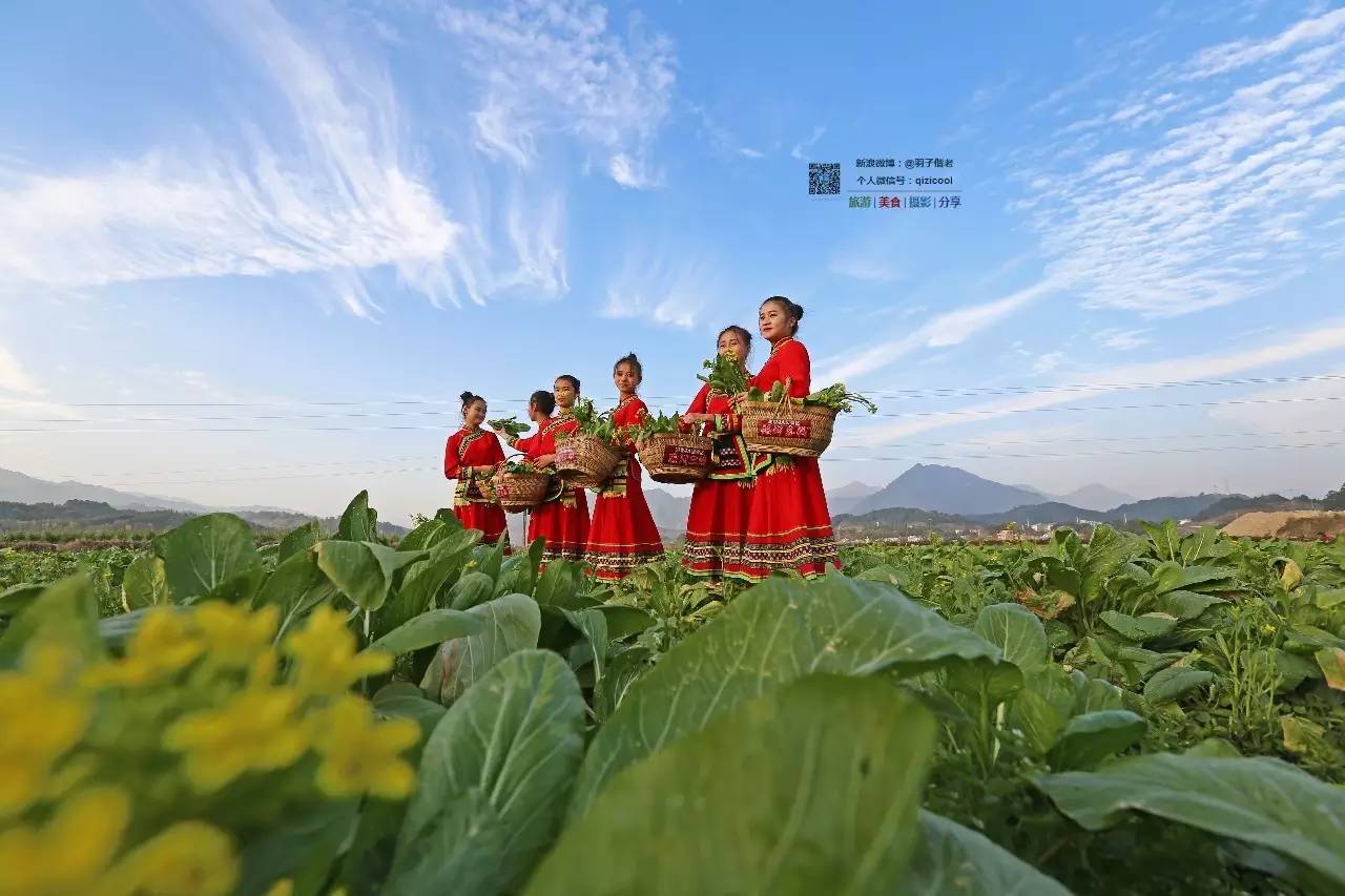 去连州有什么好玩的,清远连州旅游详细攻略