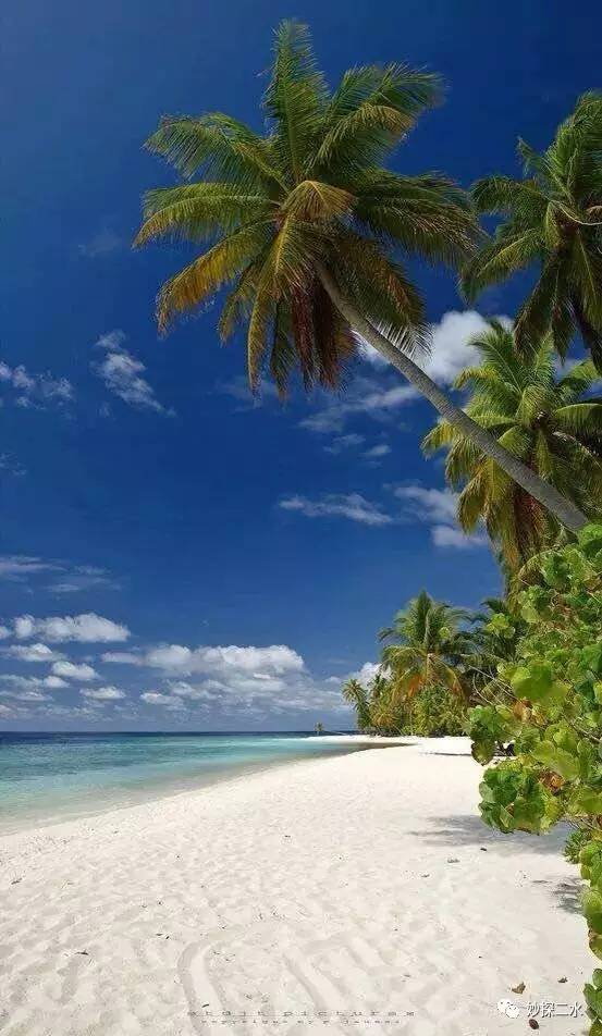 蹇冭摑娓呰繙,myblueheart