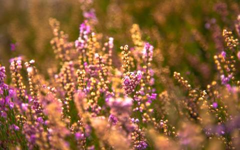 qq亲密留言大全,qq留言板简短关心的话