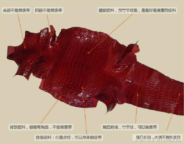 鳄鱼皮稀有皮手工皮具,鳄鱼皮如何制作成皮具