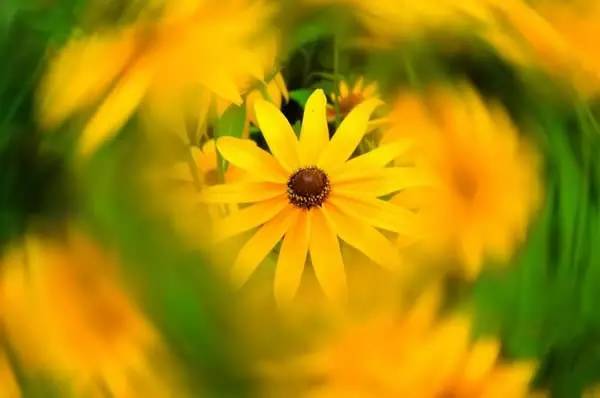 相机uv镜的作用是什么,相机uv镜有什么好处