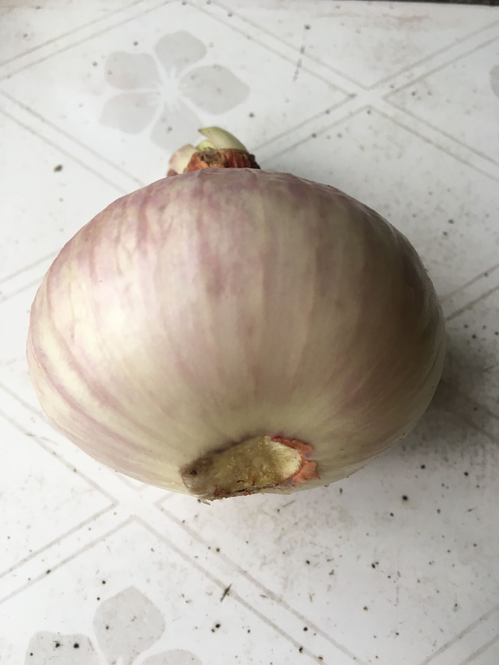 这个所有人都认识的东西，居然能减肥、治口腔溃疡！