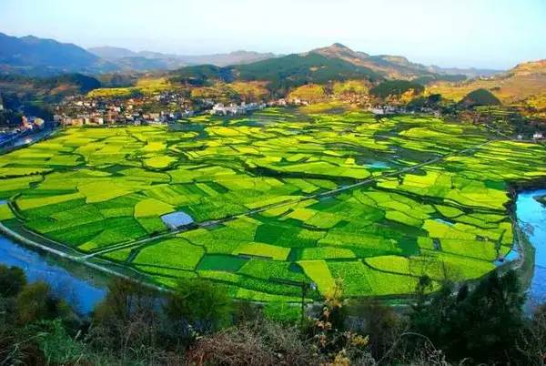 没雾霾适合生活的城市,没有雾霾
