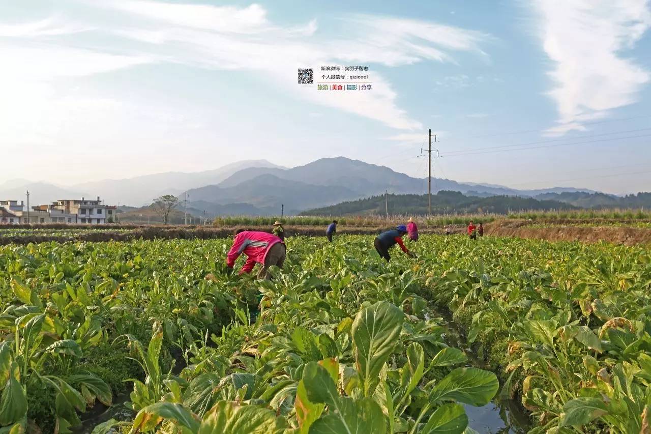 去连州有什么好玩的,清远连州旅游详细攻略