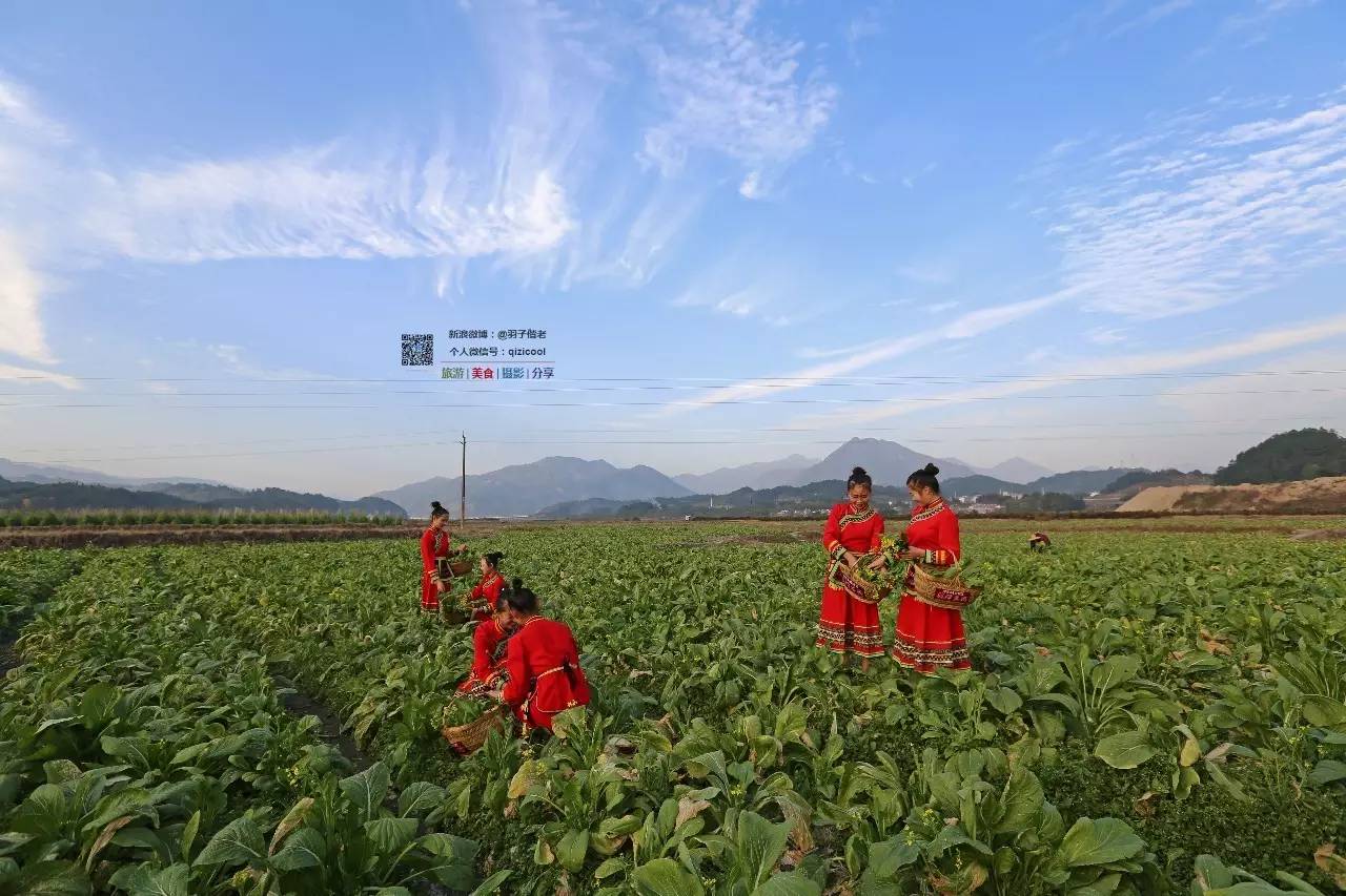 去连州有什么好玩的,清远连州旅游详细攻略