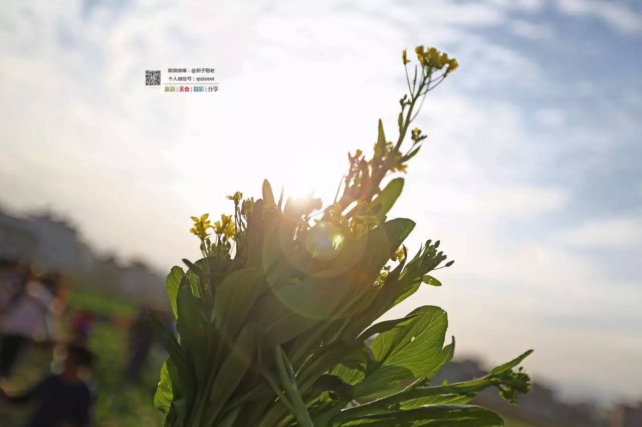 去连州有什么好玩的,清远连州旅游详细攻略