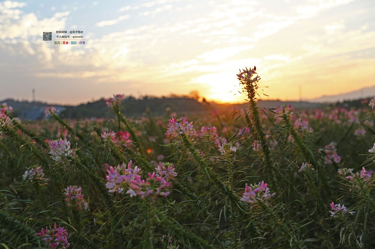 去连州有什么好玩的,清远连州旅游详细攻略