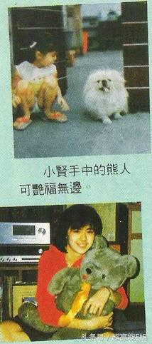 王祖贤视频繁华过后,王祖贤空白mv