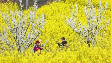 聚焦｜农村脱贫商机“门路”多，你的家乡脱贫了吗？