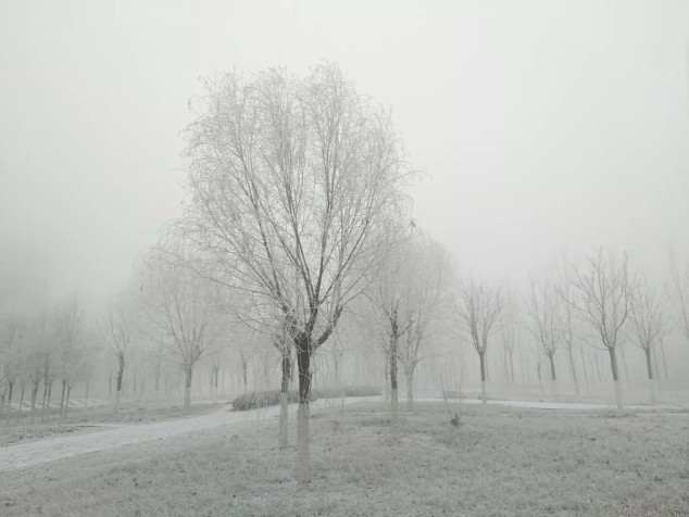 逃离雾霾去旅行,我们要逃离雾霾到美丽的岛屿过冬