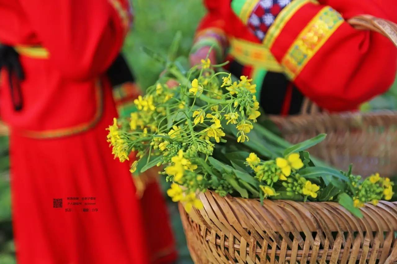 去连州有什么好玩的,清远连州旅游详细攻略