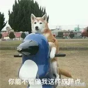 王祖贤视频繁华过后,王祖贤空白mv