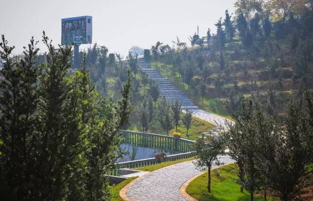 九峰万亩茶园,九峰森林动物园好不好玩