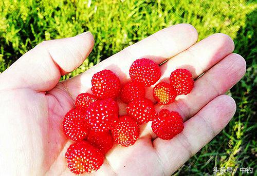 钓鱼人的一周生活,一个钓鱼人的一次完整垂钓过程