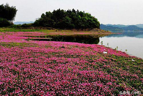 钓鱼人的一周生活,一个钓鱼人的一次完整垂钓过程