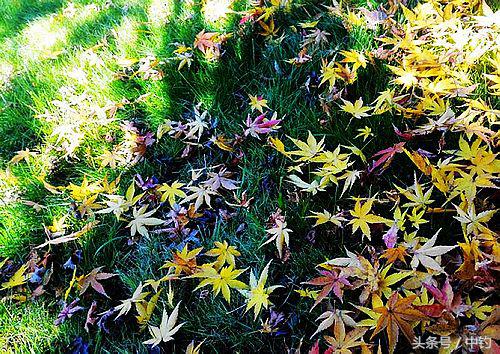 钓鱼人的一周生活,一个钓鱼人的一次完整垂钓过程