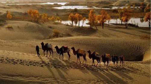 郑州旅游年卡是景点免费还是打折,郑州旅游景点景区年卡优惠攻略