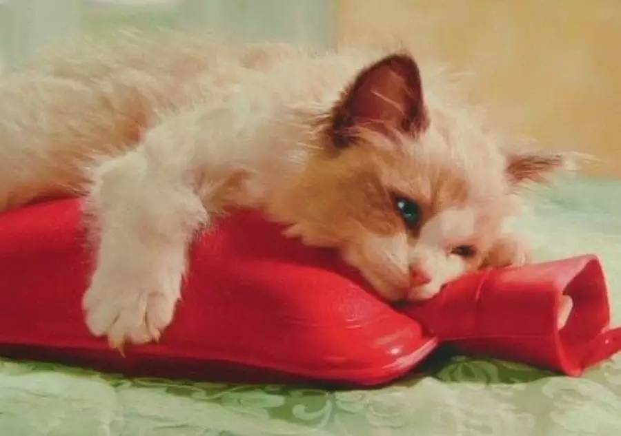 超高颜值热水袋,又好看又好用的热水袋