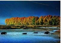 朋友圈现新网红“浮云牧场”四川藏区世界级资源正在起飞