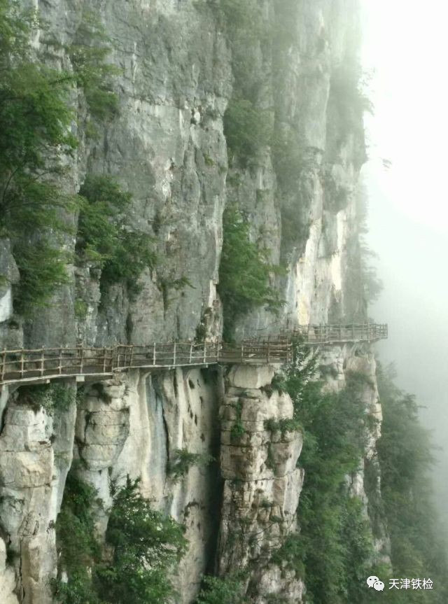 鍜岃皭鑷劧鎽勫奖浣滃搧娆ｈ祻,鍜岃皭鑷劧鎽勫奖浣滃搧