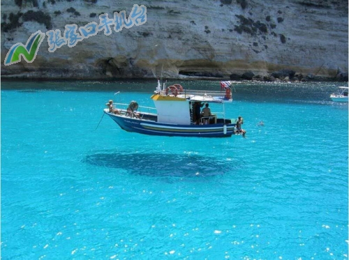 张家口新闻联播12月15日,张家口新闻报道频道