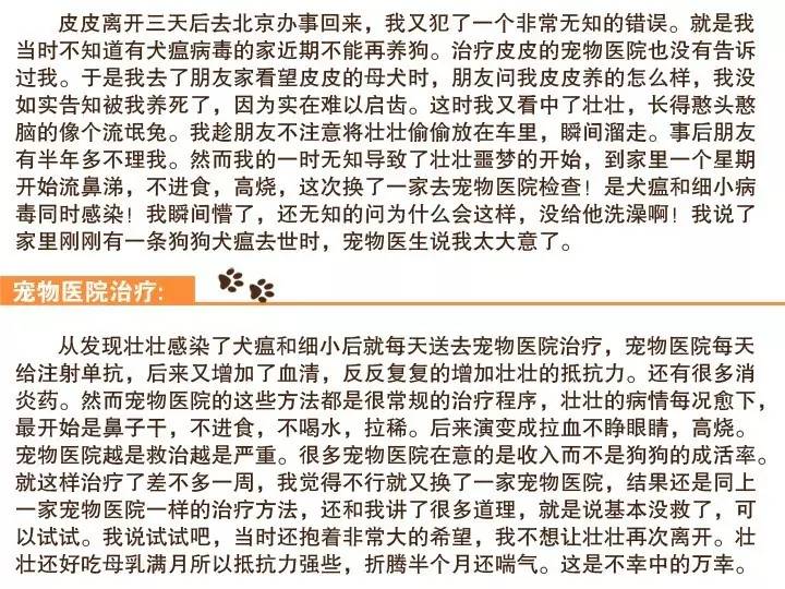 无证的兽医可以看病吗,无证兽医需要承担什么责任