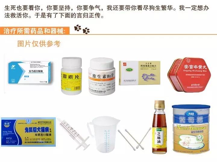 无证的兽医可以看病吗,无证兽医需要承担什么责任