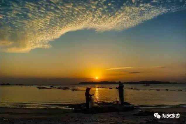 鱼我所欲也，紫菜亦我所欲也~2016翔安海岛旅游节欢乐登场