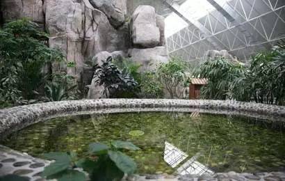 北京适合小孩的温泉度假村排名,周末北京温泉好去处