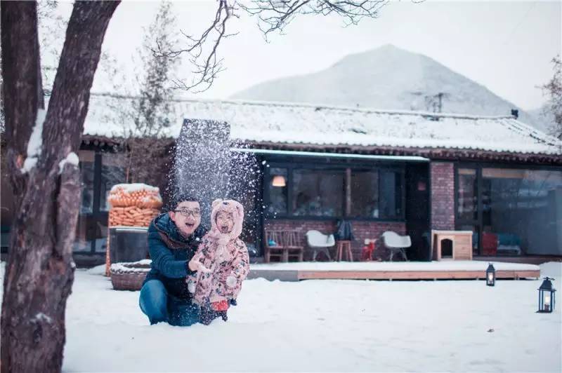 人物｜陈长春：我想把关于“农”的全部理想装进这些院子