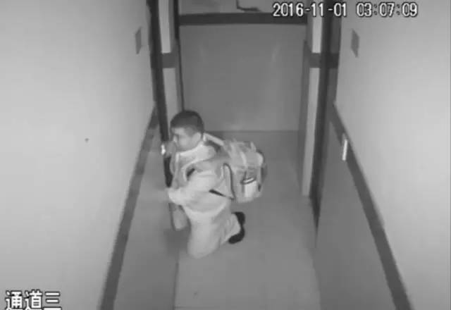 「每日奇闻汇」平乐两个偷鸡贼被村民抓住绑电线杆挂牌示众；再看，20岁美女半夜醉酒遭人尾随！危险一步步袭来，她竟然还主动开了门……