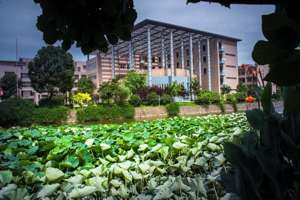 马鞍山二中是什么水平,马鞍山二中全国排名是多少