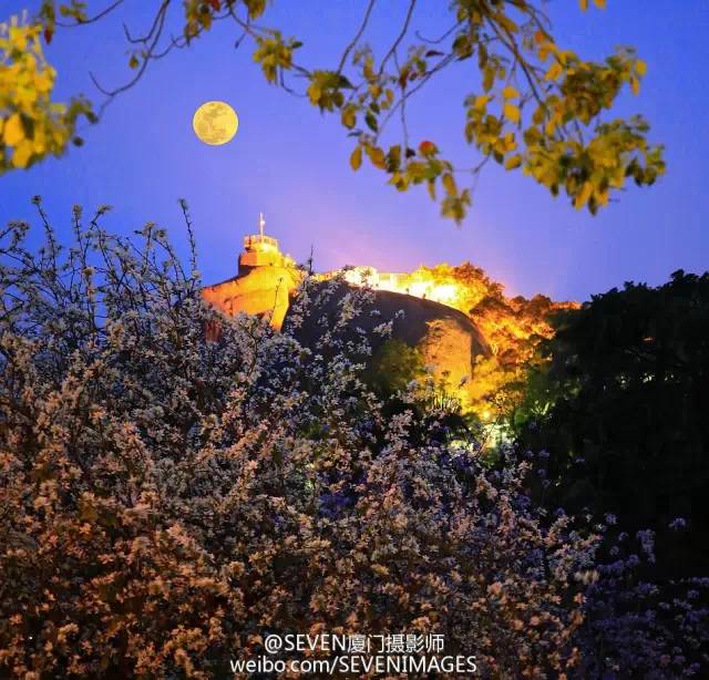 不止是鹭江道，夜幕下的思明区，原来都辣么美……