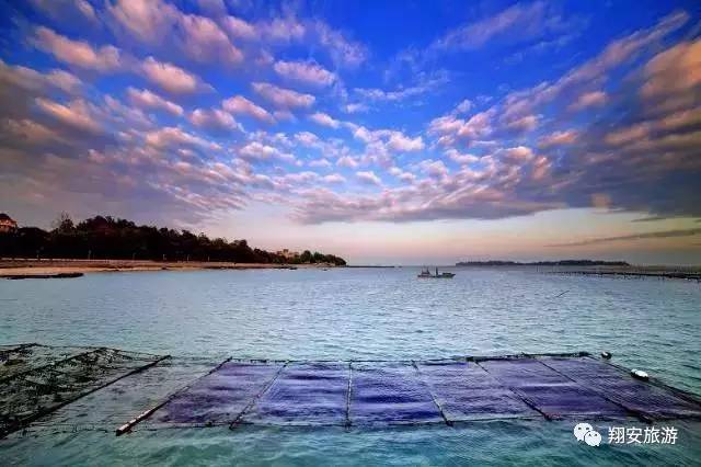 鱼我所欲也，紫菜亦我所欲也~2016翔安海岛旅游节欢乐登场