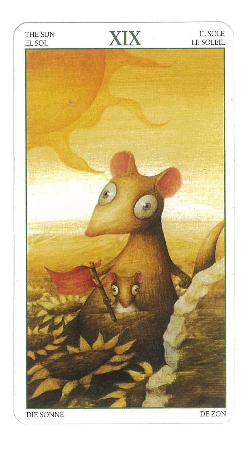 爱莎塔罗运势,爱莎塔罗近期运势