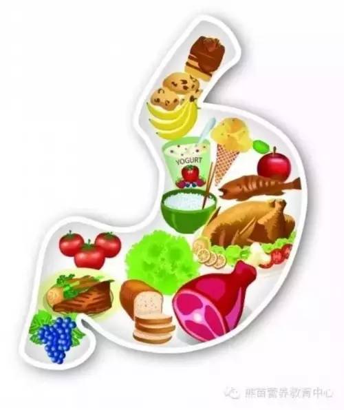 「健康」胃胀、胃酸很难受？专家助你打好健康保“胃”战！