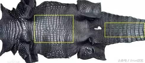 鳄鱼皮稀有皮手工皮具,鳄鱼皮如何制作成皮具