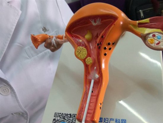 妇产YesNo直播邀名医畅谈HPV与宫颈癌