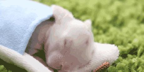 如果世界没有摩擦力世界会怎样,如果世界没有了摩擦力会怎么样