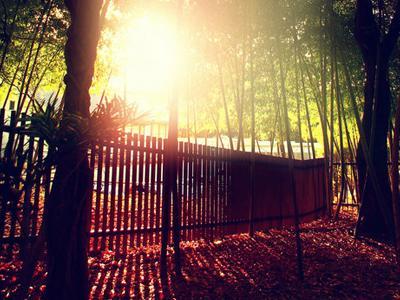 qq亲密留言大全,qq留言板简短关心的话