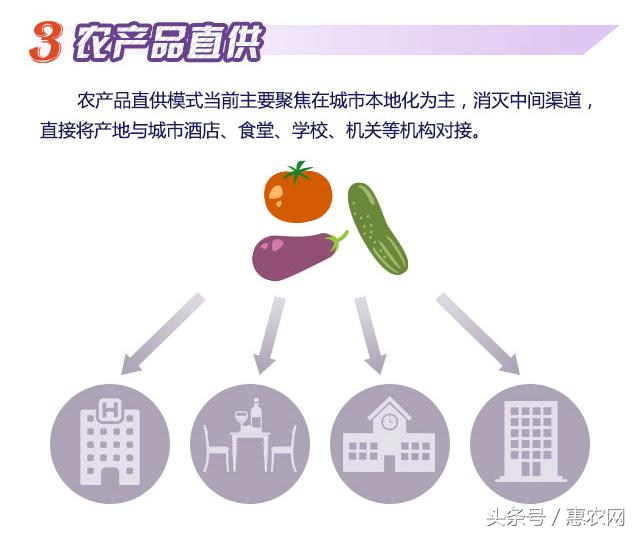 返乡创业直播致富经验分享 (乡村创业怎么赚钱的)