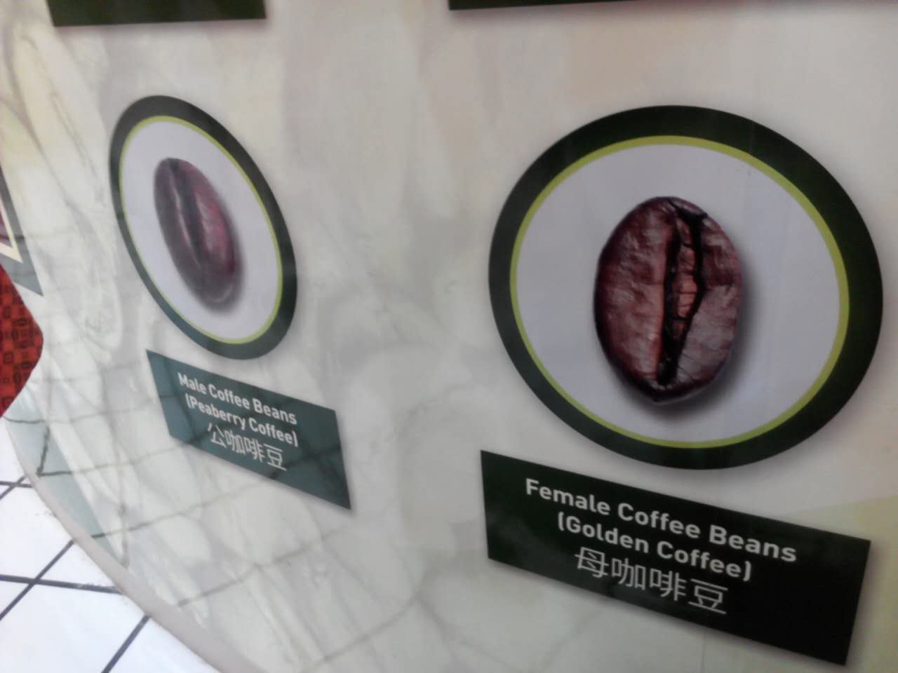 记录2018年9月巴厘岛之旅,12月份巴厘岛旅游攻略