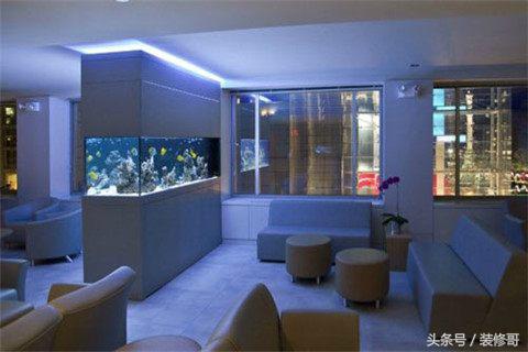 鱼缸禁忌摆放位置图,鱼缸的摆放位置禁忌要关注什么